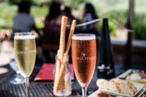 WNBA联赛新赛季开幕，激烈角逐升温