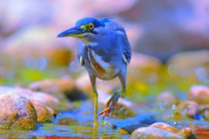 WNBA联赛新赛季开幕，激烈角逐升温