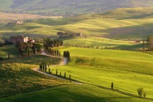 WNBA联赛新赛季开幕，激烈角逐升温