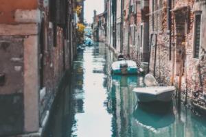 WNBA联赛新赛季开幕，激烈角逐升温